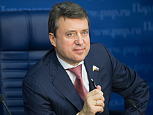 Выборный: при уничтожении контрафактного алкоголя на месте важно защитить права предпринимателей