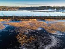 В IV квартале 2020 года на сети РЖД от движения было отставлено 23 972 грузовых поезда