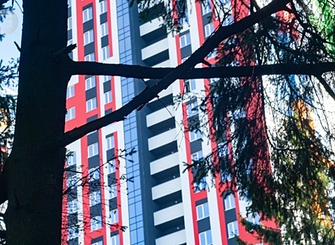 Первые два этапа работ по благоустройству Ёлки-парка в Ижевске подходят к концу