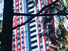 Первые два этапа работ по благоустройству Ёлки-парка в Ижевске подходят к концу