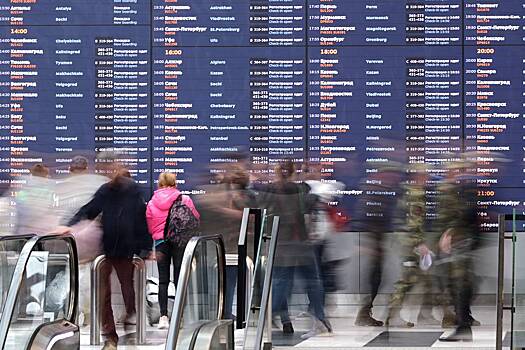 В аэропортах Москвы произошла задержка и отмена десятков рейсов