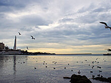 Сквозь слезы и санкции: как крымчане начинают бизнес с нуля