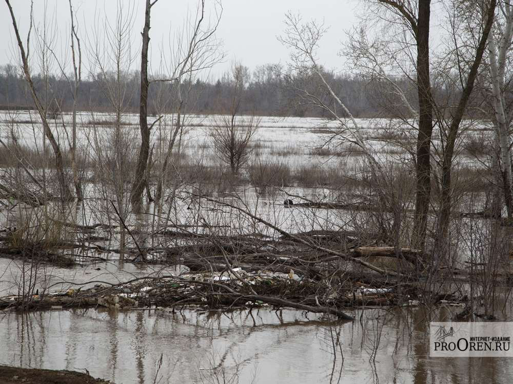 Реки поднимаются: гидрологическая ситуация в Оренбуржье на 28 марта