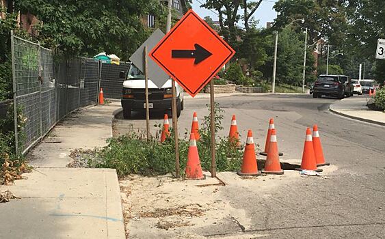 Канадцы в яму на дороге высадили помидоры