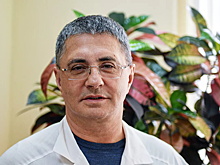 Мясников раскритиковал Онищенко