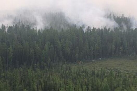 Несмотря на холод, в Красноярском крае снова зафиксированы лесные пожары