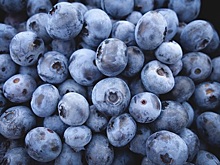 Любимая многими ягода оказалась лекарством против высокого сахара