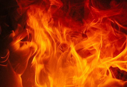 Природные пожары в Воронежской области действуют на площади 335 га