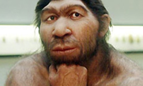 Неандерталец и гомо сапиенс: чем они отличаются - Рамблер/новости