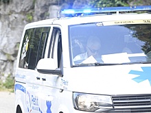 Во Франции бывший ученик устроил поножовщину в садоводческом лицее