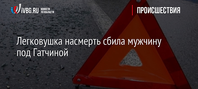 Легковушка насмерть сбила мужчину под Гатчиной