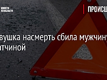 Легковушка насмерть сбила мужчину под Гатчиной