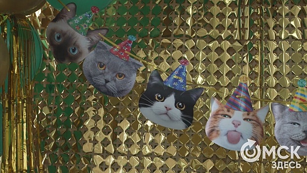 Проводники в мир любви: любуемся мурчащими и пушистыми