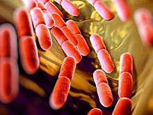 Мигранты и вода на Марсе