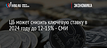 ЦБ может снизить ключевую ставку в 2024 году до 12-13% - СМИ