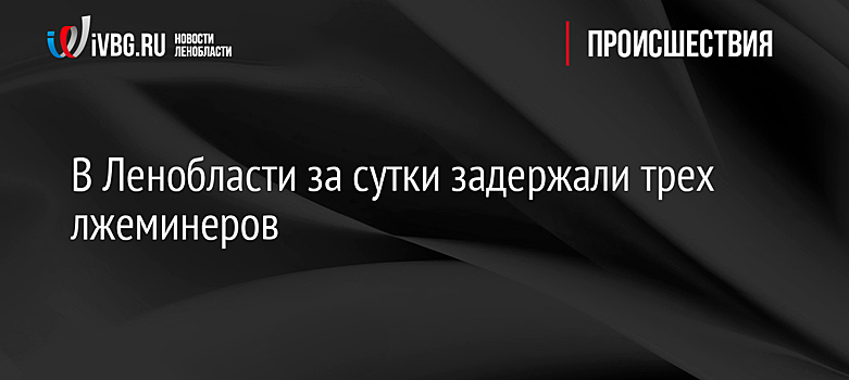 В Ленобласти за сутки задержали трех лжеминеров