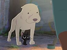 Китбуль: как мультфильм о дружбе питбуля и котика заставил плакать весь мир