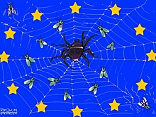 Соцсети: «Ложь — их стратегия!» — Киев растолковал слова президента Эстонии