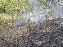 Будь в курсе: самые яркие события дня от 62ИНФО