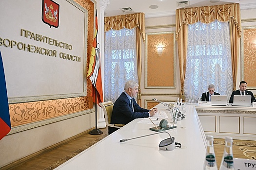 В воронежскую программу капстроительства на следующий год включили более 100 объектов