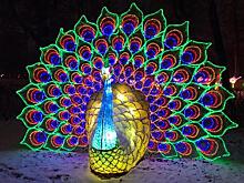 Жар-птицы, драконы и баоцзы – в «Сокольниках» проходит уникальный по красоте Фестиваль