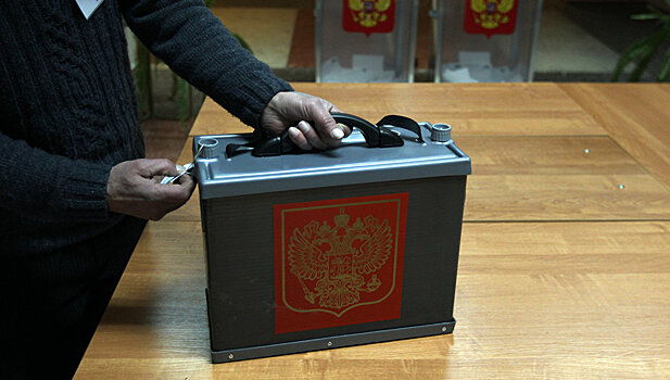 Госдума не исключает "внешнего" вмешательства в выборы