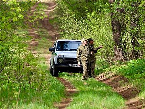Лесная охрана Самарской области выявила более 120 нарушений