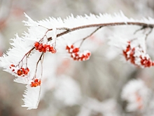 Волгоградские фотографы могут принять участие в престижном конкурсе