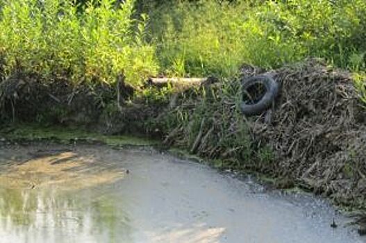 Предприятие ЖКХ подозревается в загрязнении реки Шешмы в Татарстане