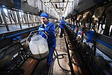 Сибирские молочники предложили ввести госрегулирование отрасли