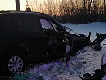 В Татарстане поезд на железнодорожном перегоне сбил автомобиль
