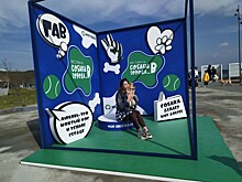 Таксы, овчарки, колли и шпицы: фестиваль «Собаки города_В» состоялся во Владивостоке