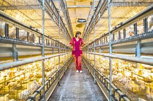 Профессия молодых и перспективных