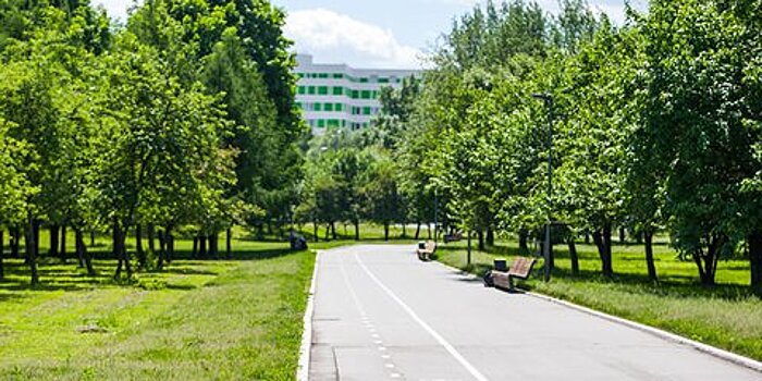 Теплая погода без осадков ждет столицу в воскресенье