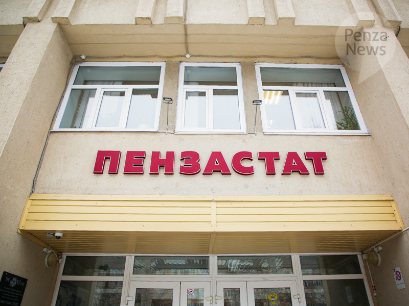 В Пензенской области соберут данные о ситуации на рынке труда и участии населения в непрерывном образовании