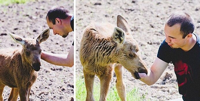 Фотографии, которые подтверждают наличие дружбы между животными и людьми