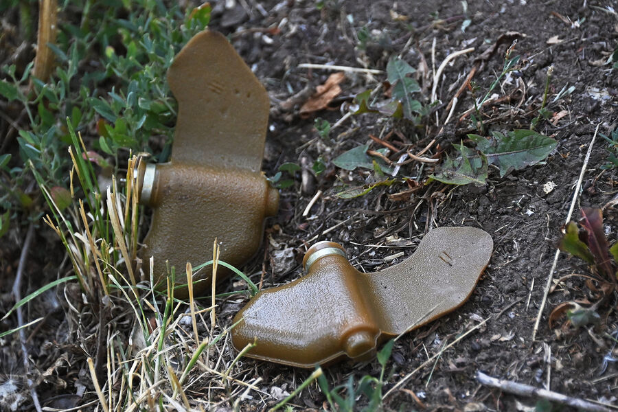 Похожий на мину «Лепесток» предмет нашли возле жилого дома в Москве