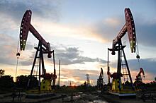В ОПЕК призвали не отказываться от нефти и газа