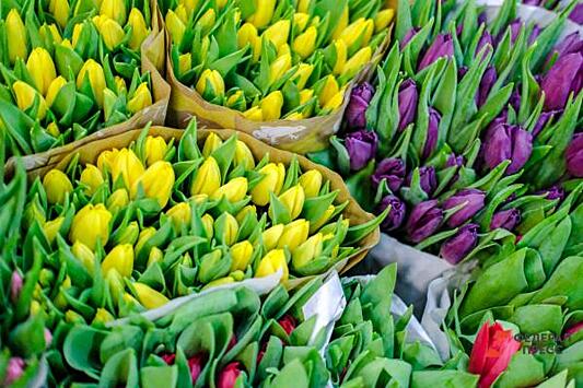 В Петербурге к 8 марта цветы подорожали на 8%