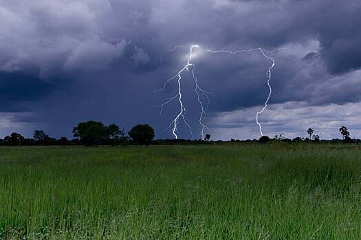 Молния ударила в 17-летнего охотника