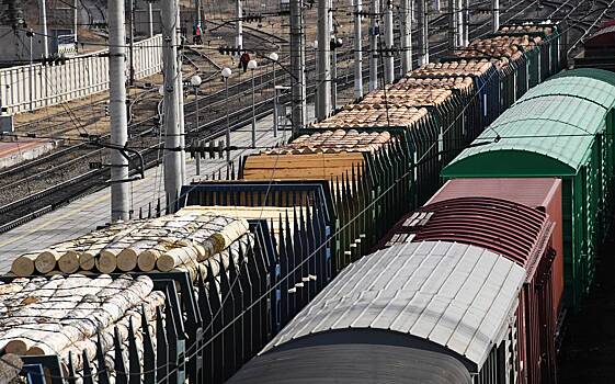 Железнодорожные перевозки в России резко подорожали