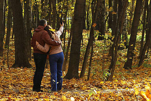 Вильфанд: температура выше нормы прогнозируется на Урале и в Сибири до 5 ноября