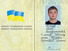 СКР опубликовал видео допроса главного свидетеля по делу MH17