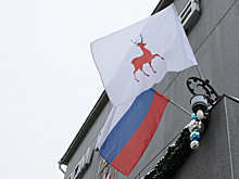 Молодежная палата при городской Думе рассказала о своей работе в 2021 году