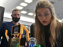 В Совфеде предложили урегулировать взаимоотношения роботов и людей