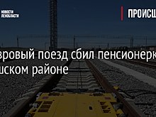 Маневровый поезд сбил пенсионерку в Киришском районе