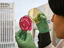 Замглавы Минобрнауки Секиринский: Молодежные лаборатории - прямой путь в науку