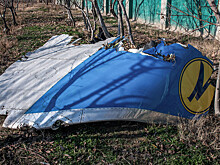 В Киеве заявили, что разбившийся в Тегеране самолет могли сбить российской ракетой