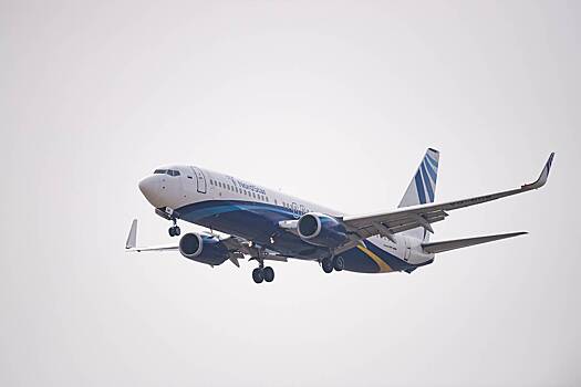Пилот российского самолета заметил дрон на подлете к Домодедово