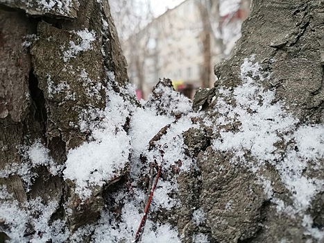 С первым снегом, Таганрог!
